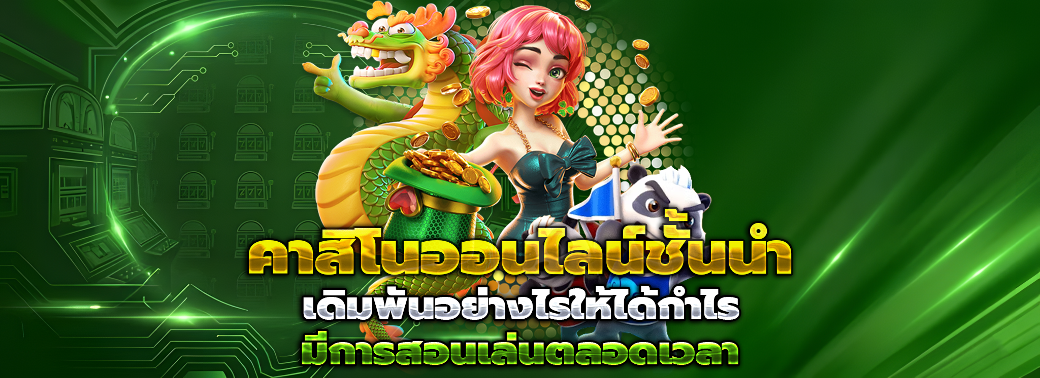 livewin1688
